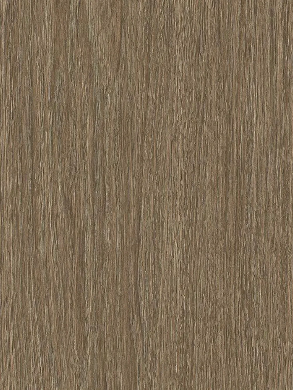 Gravel Grey Oak